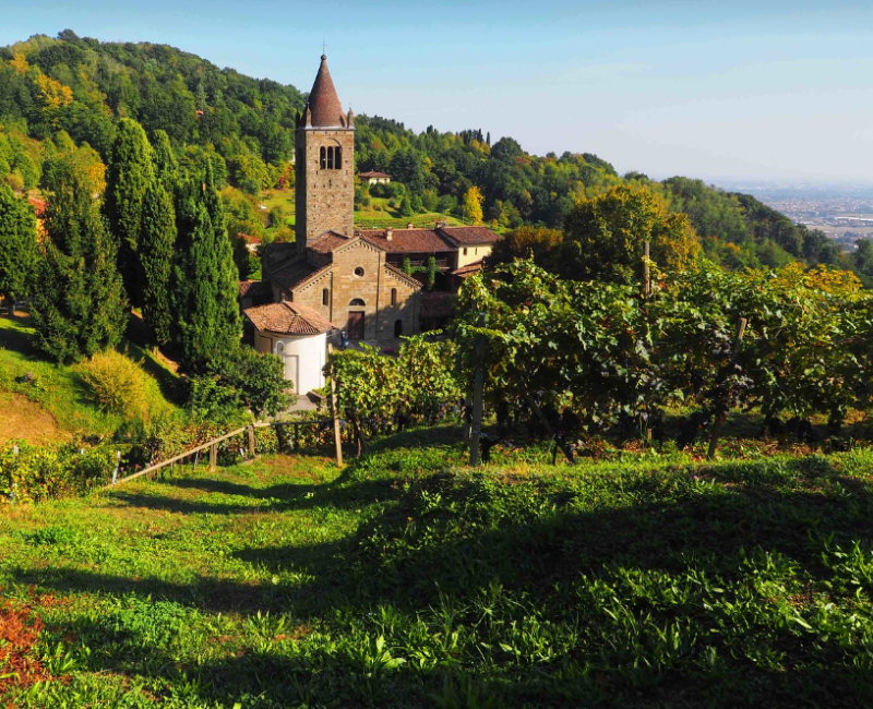 Passeggiata culturale tra le vigne e l'abbazia di Fontanella